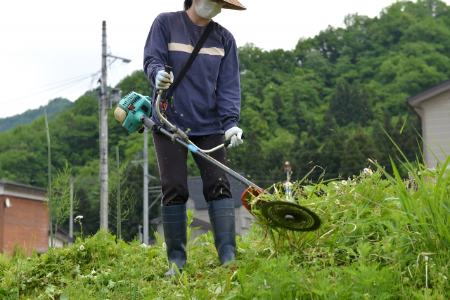 草刈り作業
