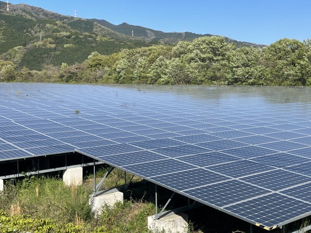 太陽光パネル除草