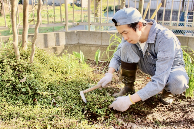 草むしりねじり鎌